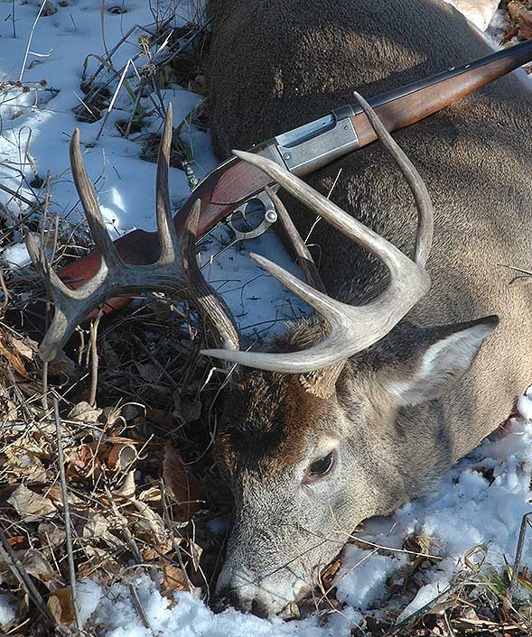This South Dakota buck fell to offhand shots at 80 yards, from Wayne’s 1899 Savage in 25-35.