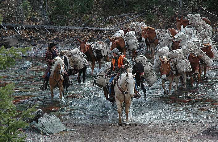 Chafing at ammo prices? Ask these wranglers if they’d bet a back-country elk hunt on cheap loads!
