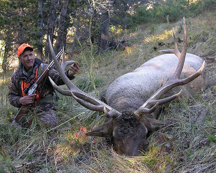 Wayne used a Marlin 336 in .30-30 to kill this fine bull at 55 yards in the Bob Marshall Wilderness.